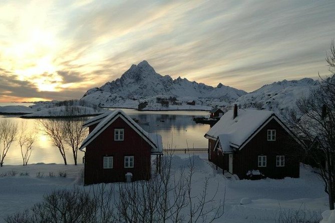 2- Day Lofoten Top Highlights Photo Tour - What the guides add to the experience