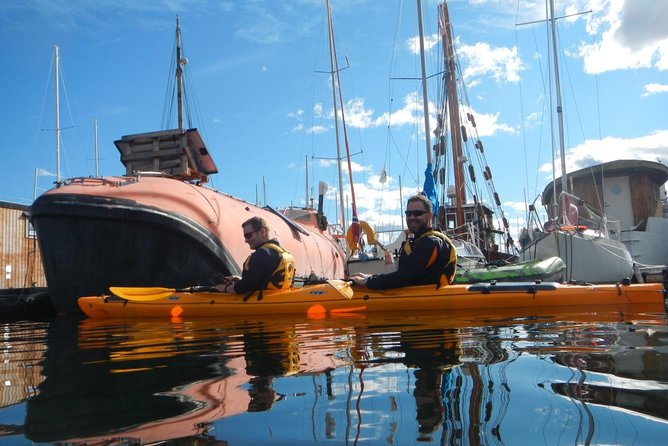 2- hour kayak trip on the Oslo Fjord - Wildlife and the Pleasure of a Small Group