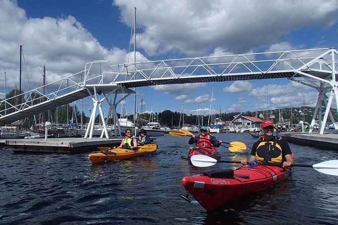 2- hour kayak trip on the Oslo Fjord - Who Will Enjoy This Two-Hour Paddle