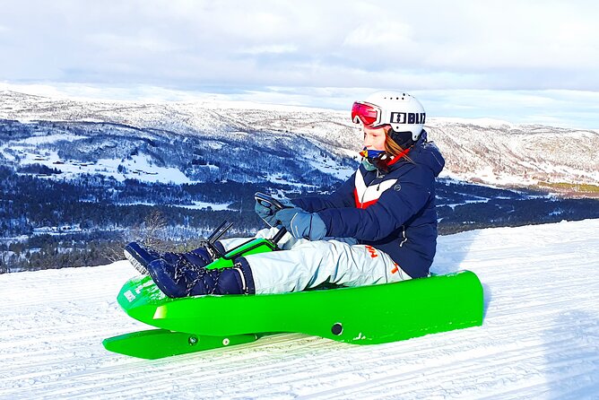 2-Hour Racing Toboggan at Dagali Fjellpark near Geilo in Norway - Key points at a glance