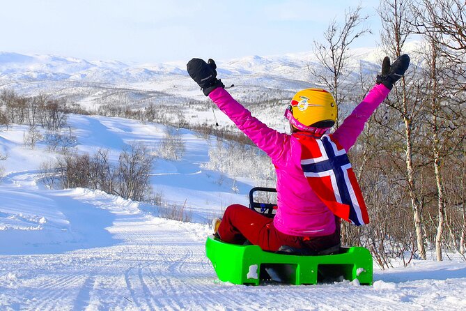 2-Hour Racing Toboggan at Dagali Fjellpark near Geilo in Norway - Safety, control, and comfort