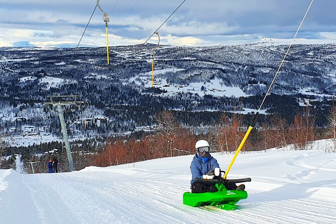 2-Hour Racing Toboggan at Dagali Fjellpark near Geilo in Norway - Is $55.25 a fair price?
