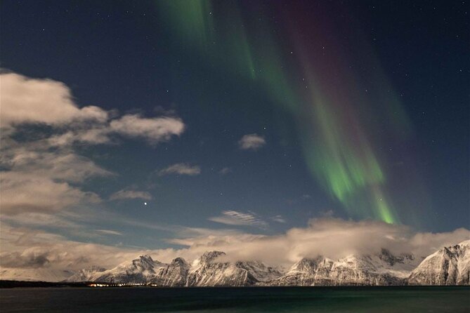 24hr Northern Lights & Whale Watching Cruise - The first evening: dinner, safety, and the Northern Lights