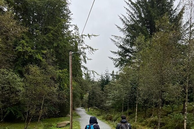 3-Hour Private Tour Hiked through the Bergen Mountains - What the three-hour hike is really like
