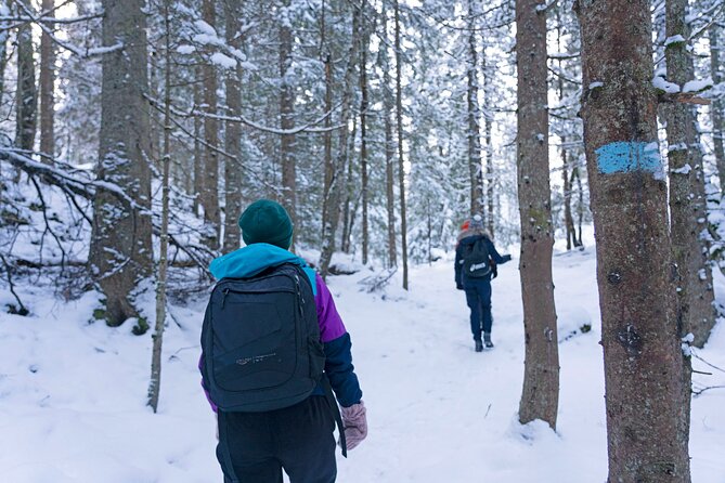 4 hours Best View of the Oslofjord Winter Edition - What the $107.17 price really covers