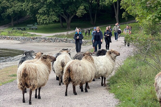 4 Hours Island Hopping Tour in Oslo - Lindøya’s 1920s cabins and relaxed island character