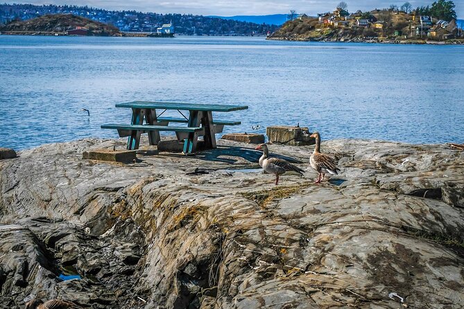4 Hours Island Hopping Tour in Oslo - Is $48.62 a fair price?