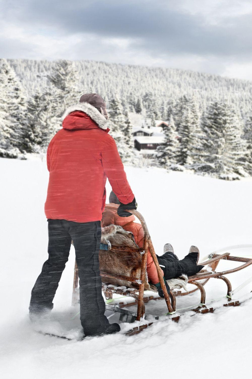 4hr Dog Sledding Trip on Finnmarksvidda - From Alta to Gargia in about 30 minutes