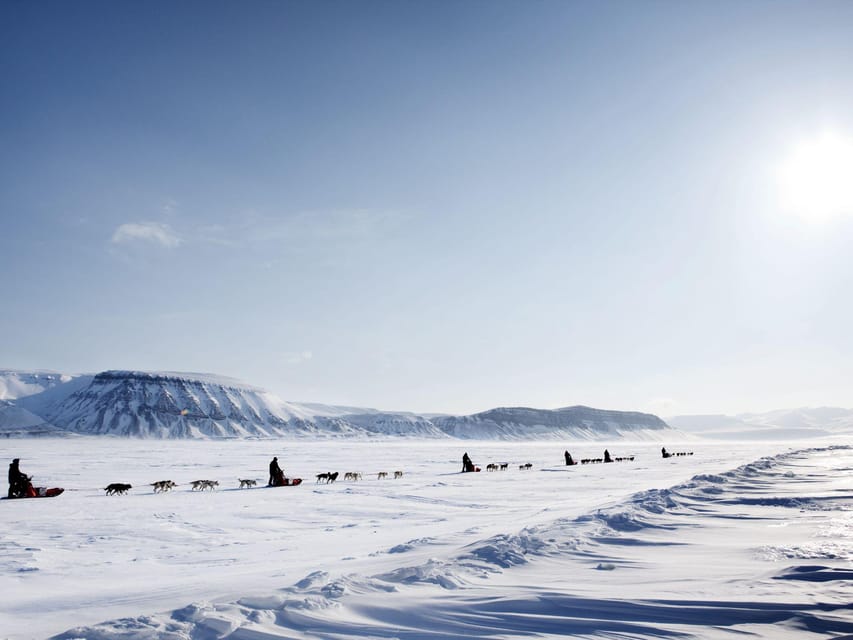 4hr Dog Sledding Trip on Finnmarksvidda - Who should book this Alta dog sledding trip?
