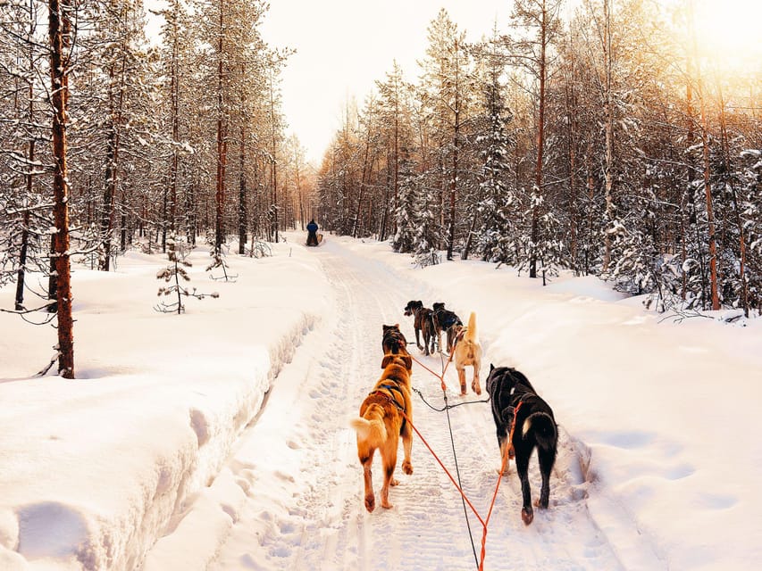 4hr Dog Sledding Trip on Finnmarksvidda - Getting suited up for Arctic weather