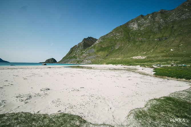 5 Highlights Of Lofoten From Svolvær - Key points to know before booking