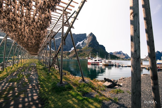 5 Highlights Of Lofoten From Svolvær - Why this Svolvær tour works well for a first look at Lofoten