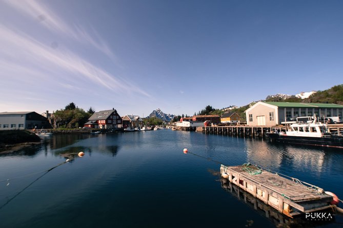 5 Highlights Of Lofoten From Svolvær - Haukland Beach: white sand and cold water