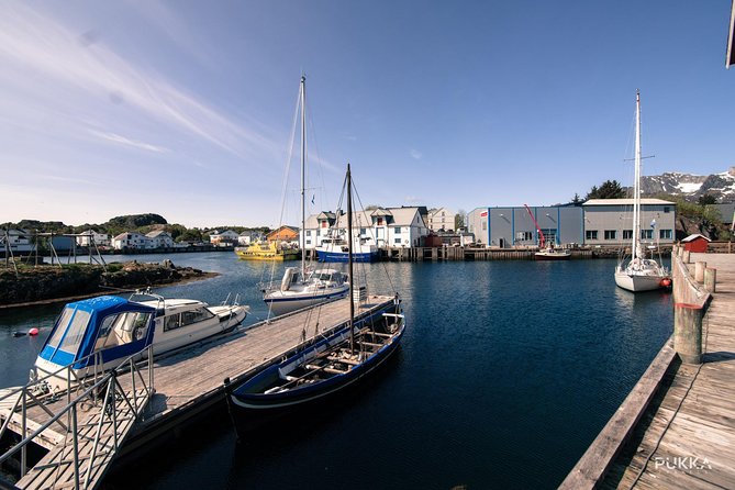 5 Highlights Of Lofoten From Svolvær - Henningsvær: galleries, seafood, and the famous football field