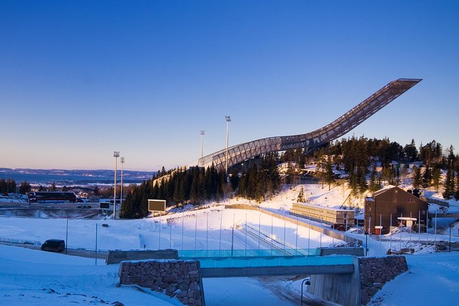 8 hours Full-Day Exclusive Oslo Tailormade Guided Limo Tour - The Opera House, palace, and City Hall