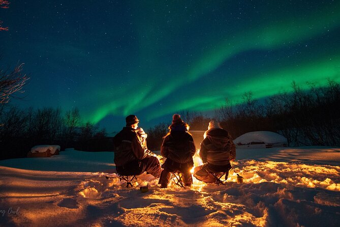 Adults Only Aurora Hunt with Wandering Owl - Skibotn and inland Norway