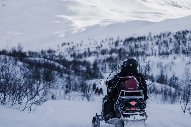 Adventure Snowmobile Safari - Should you book the Adventure Snowmobile Safari?