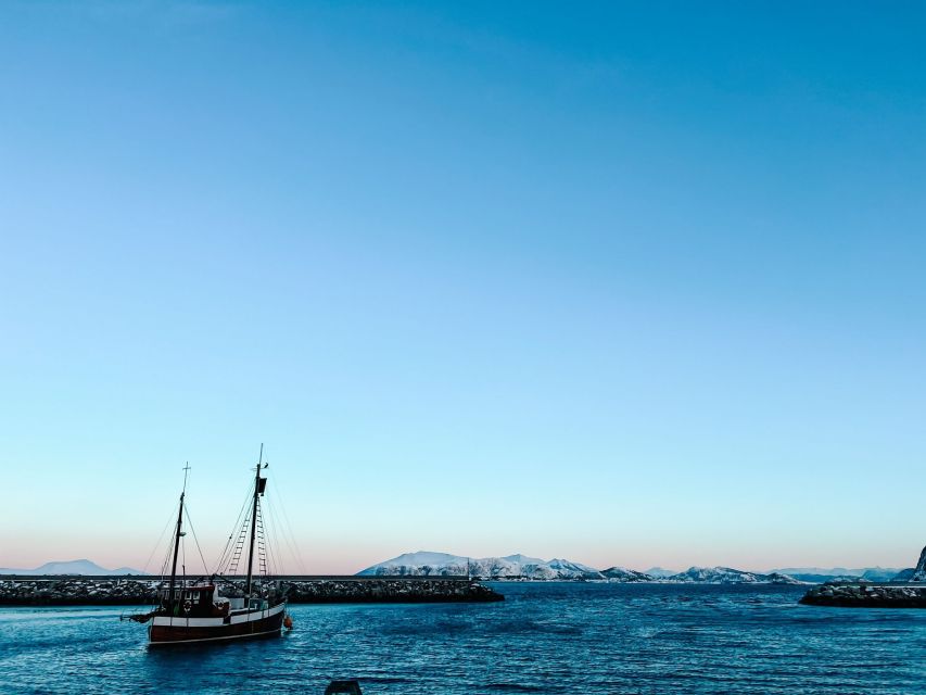 Ålesund: Ålesund and Surrounding Islands Audio Guide Tour - Why this tour helps you see more of Ålesund