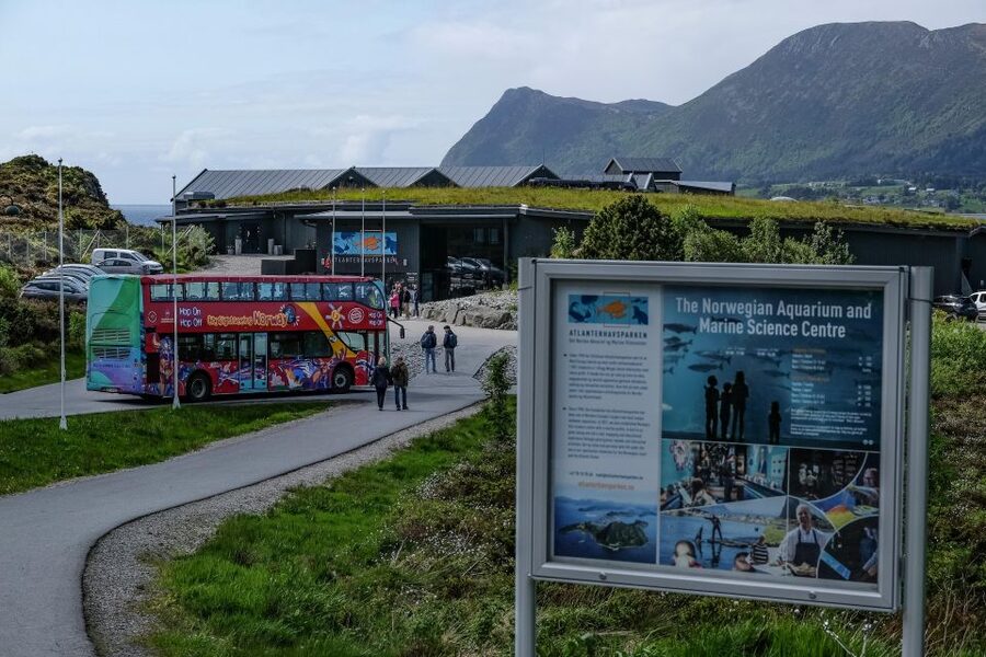 Alesund: City Sightseeing Hop-On Hop-Off Bus Tour - Stop 5: Tourist information and city orientation