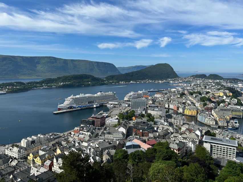 Ålesund: Giske and Godøy Islands Guided Sightseeing Tour - Through the tunnel to Godøy and Alnes