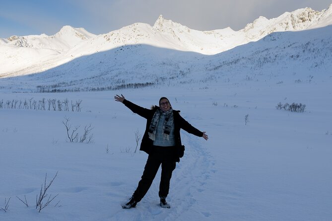 All-Inclusive Arctic Fjords and Sommarøy Scenic Tour - Weather decides how much you see
