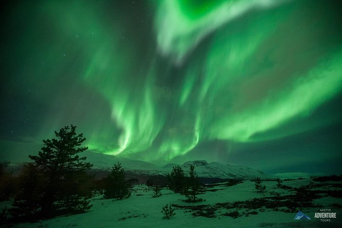 All inclusive - Northern Lights Hunt - Chasing clear skies beyond Tromsø