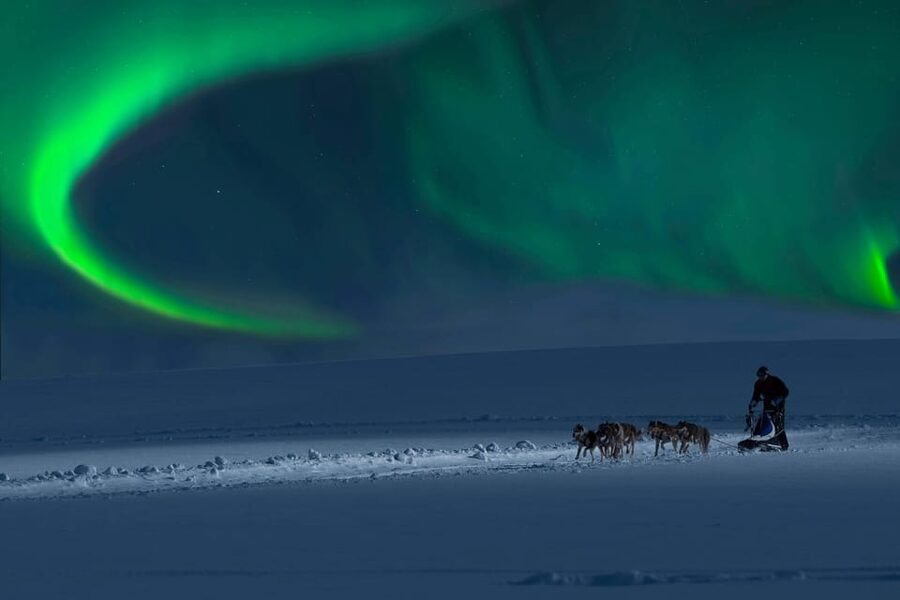 Alta: Dog Sledding Trip under the Northern Lights - Booking advice for an Alta winter trip