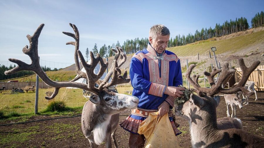Alta: Reindeer - A carrier of Sámi Culture - What hand-feeding tells you about Sámi life