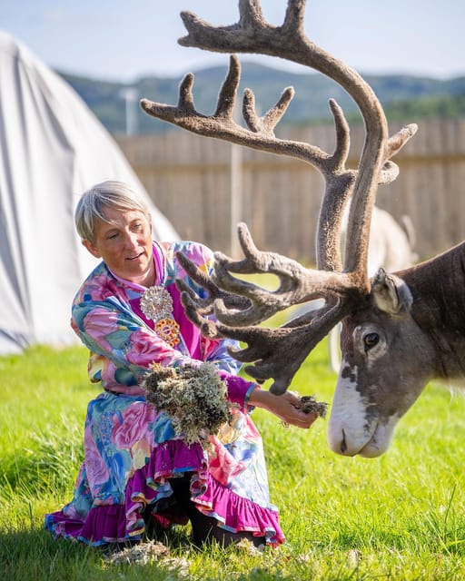 Alta: Reindeer - A carrier of Sámi Culture - Guides who make the hour personal
