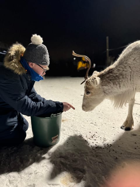 Alta: Sami Cultural Experience with Lavvu and Reindeers - What the 1.5-hour schedule really means