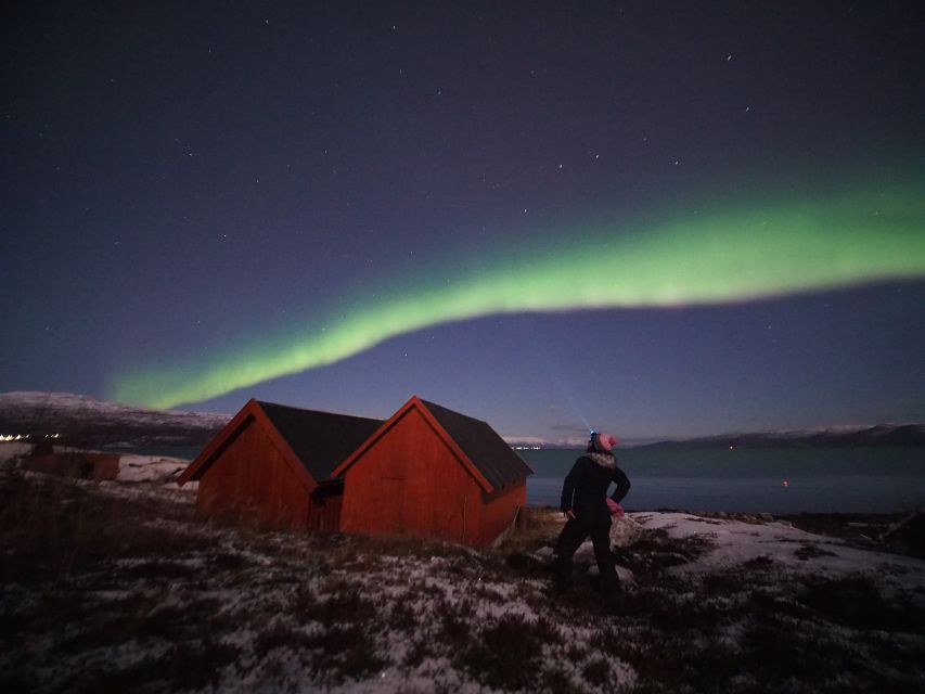 Alta: Small-Group Guided Northern Lights Tour - The Drive Through Alta and Finnmark