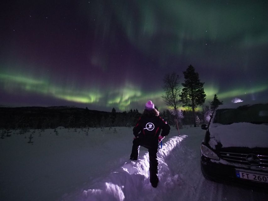 Alta: Small-Group Guided Northern Lights Tour - What Happens at the Viewing Stops
