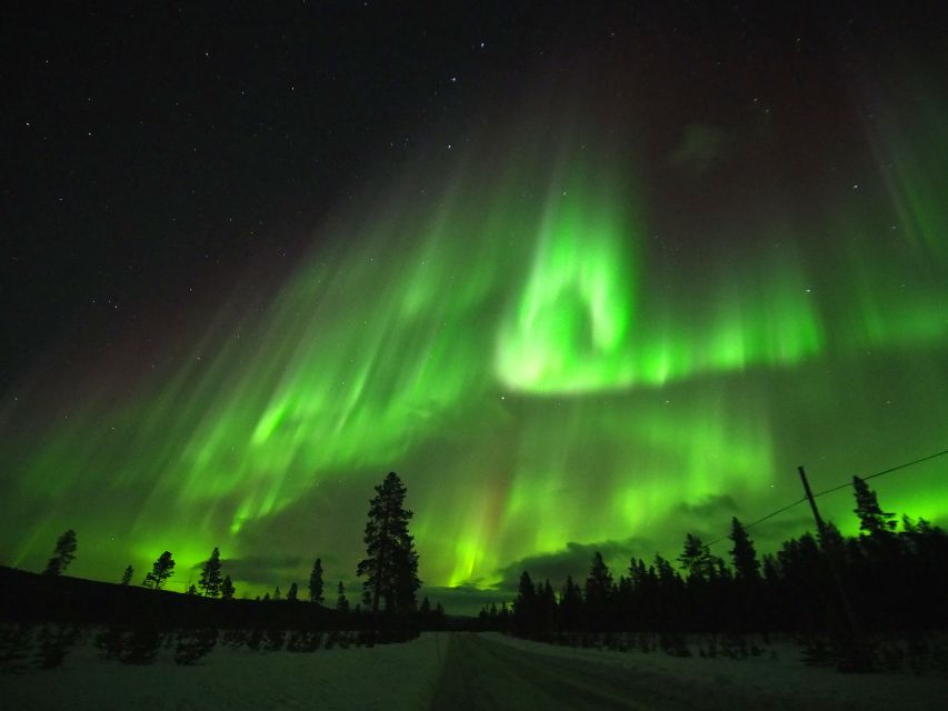 Alta: Small-Group Guided Northern Lights Tour - Meeting the Guide in Alta