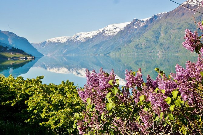 AMAZING HARDANGER FJORD: Private guided round trip from Bergen, 10 hours - Skjervsfossen and the return through Voss