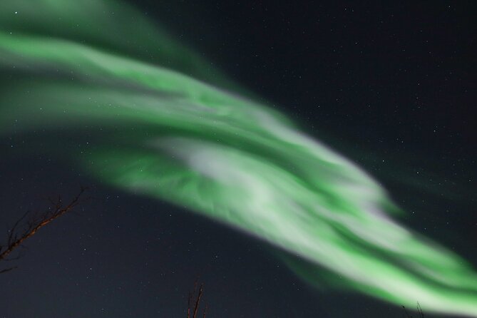 An All-Inclusive Tour - Aurora & Arctic Experience - The campfire stop, reindeer hides, and Arctic waiting