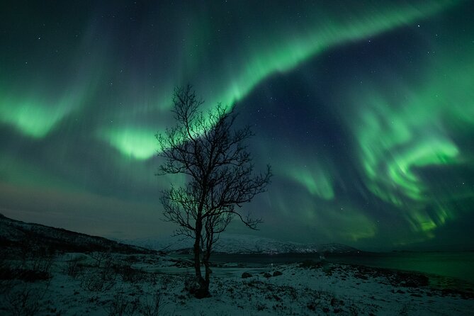 An All-Inclusive Tour - Aurora & Arctic Experience - Group size, timing, and the value of $258.22