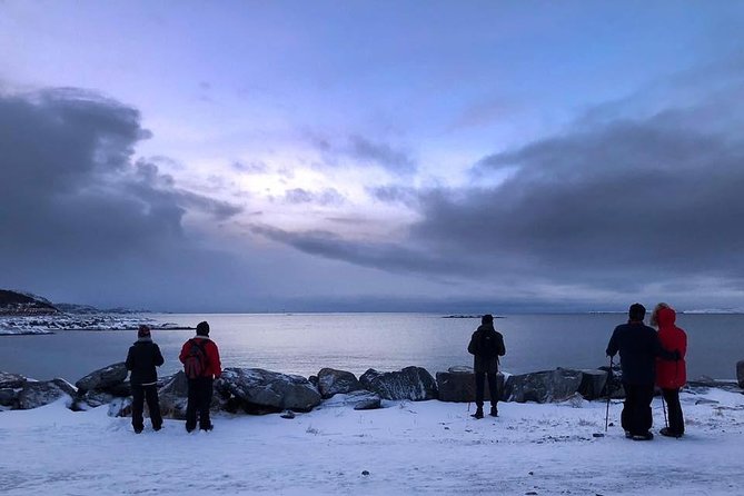 Arctic Coastal Walk - The 15-minute ride to Ausvika strand