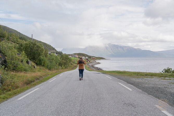 Arctic Fjord Roadtrip with Scenic Picnic from Tromso - Your guide can shape the day