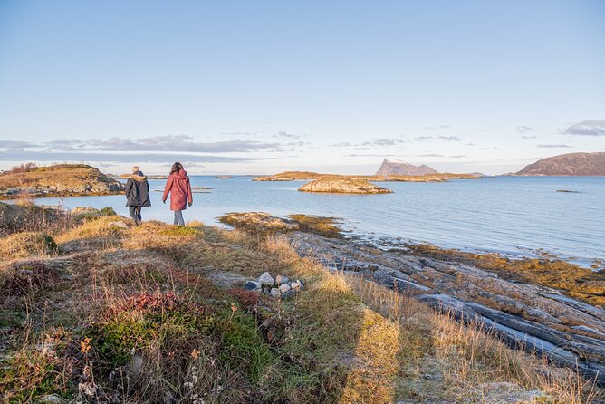 Arctic Fjord Roadtrip with Scenic Picnic from Tromso - Small-group transport and comfort