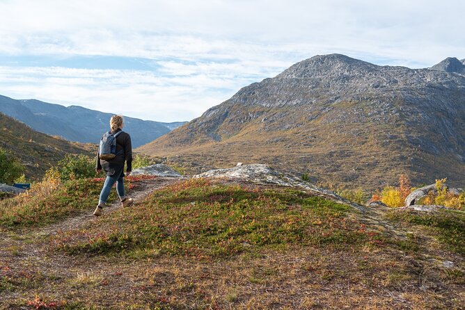 Arctic Fjord Roadtrip with Scenic Picnic from Tromso - A picnic that works in cold weather