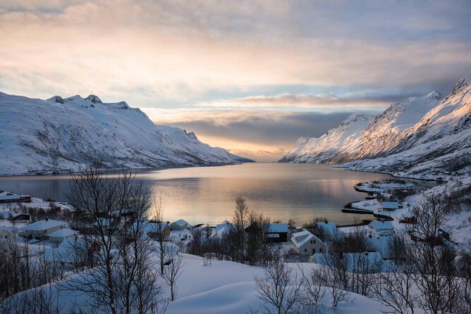 Arctic Fjord Sightseeing by Minibus - Quick take: what makes this Tromsø tour useful
