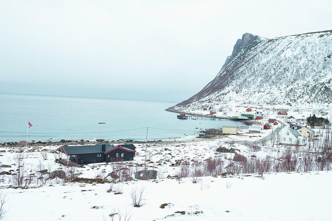 Arctic Fjord Sightseeing by Minibus - Hella’s rock carvings