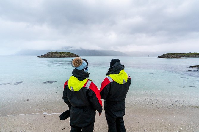 Arctic Fjord Sightseeing by Minibus - Photography, wildlife, and the supplied gear