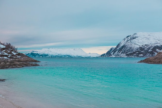 Arctic Fjord Sightseeing by Minibus - Price and practical value at $136.99