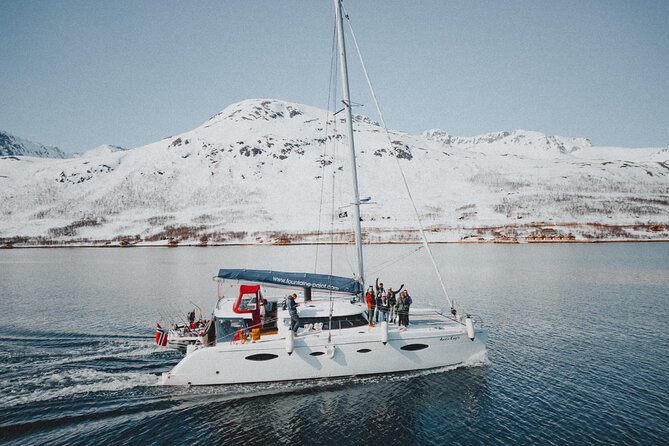 Arctic Fjordcruise & Safari in Tromso with Luxury Catamaran - Leaving central Tromsø for the fjords