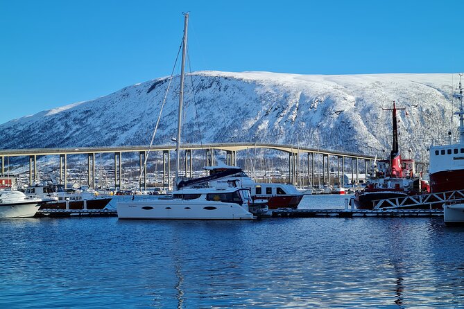 Arctic Fjordcruise & Safari in Tromso with Luxury Catamaran - Outdoor views, indoor warmth, and onboard comforts