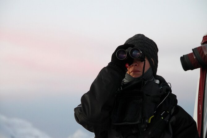 Arctic Fjordcruise & Safari in Tromso with Luxury Catamaran - What the small group changes