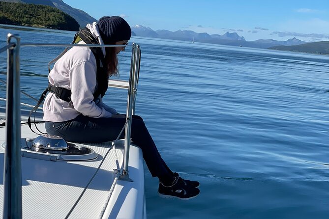Arctic Fjordcruise & Safari in Tromso with Luxury Catamaran - Value for a three-hour Tromsø outing