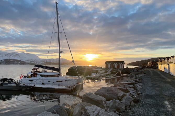 Arctic Fjordcruise & Safari in Tromso with Luxury Catamaran - Rya and its strong tidal current