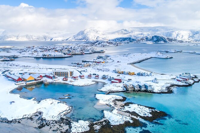 Arctic Fjords and Reindeer Experience – Small group tour - Is $291.53 a fair price?